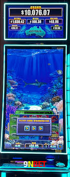 Descubra o Mundo do Cassino Online com 9Nbet